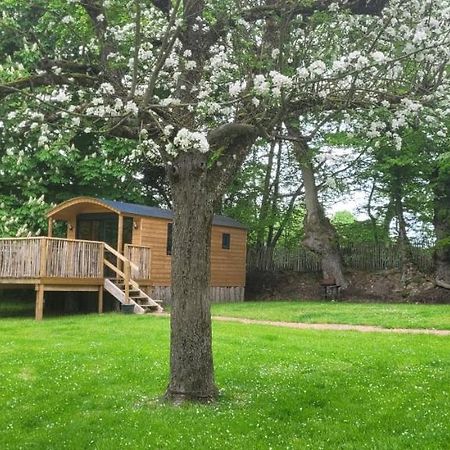 Roulotte Escapade Nature A Morainville - Normandie Экстерьер фото